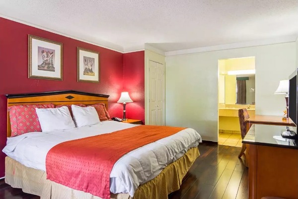 Deluxe King Nonsmoking Photo 3