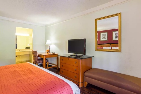 Deluxe King Nonsmoking Photo 4