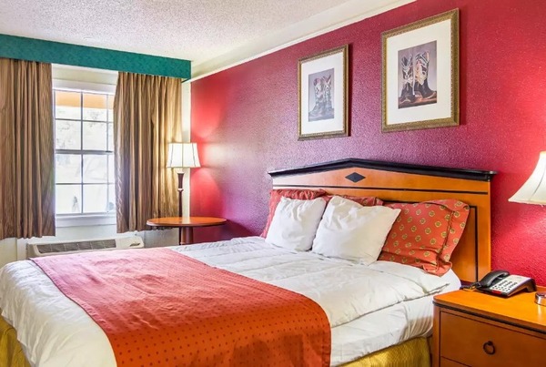 Deluxe King Nonsmoking Photo 1